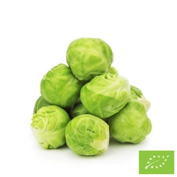 Brukselka świeża BIO (około 0,50 kg)